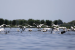 WWF Urges Romania to Protect Mahmudia Wetland