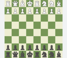What is Freestyle or Fischer Random Chess or Chess 960?