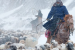 What are Dzuds in Mongolia?