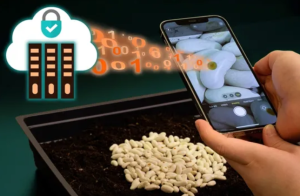 Terahertz Tags to Spot Product Tampering