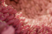 What are ‘Obelisks’, the New Virus-like Life-forms?