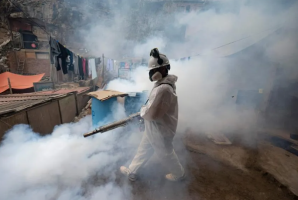 Peru Declares Health Emergency after Dengue Surge