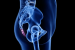 Why did Humans lose their Tails?