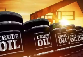 RBI Pushes for Rupee Payments in Oil Imports