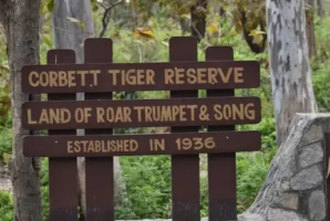 Supreme Court Bans Tiger Safari in Core Areas of Jim Corbett National Park