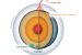 Astrophysical Tau Neutrinos