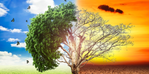Global Climate Report 2023