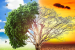 Global Climate Report 2023
