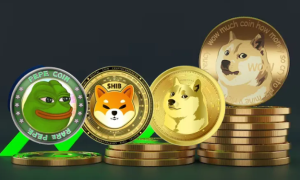 What are Meme Coins?