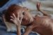 Starvation: Stages, Effects, Complications