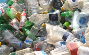 प्लास्टिक अपशिष्ट प्रबंधन (संशोधन) नियम, 2024