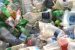 Plastic Waste Management (Amendment) Rules, 2024