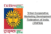 Tribal Cooperative Marketing Development Federation of India (TRIFED)