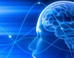 100th Anniversary of Discovery of Electroencephalogram (EEG) Observed