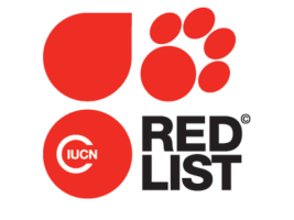 IUCN Red list of Threatened Species