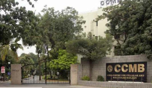 Centre for Cellular and Molecular Biology