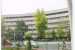 Ministry of Statistics and Programme Implementation