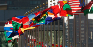 Member States of the United Nations