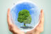 World Environment Day