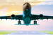 Ministry of Civil Aviation (MoCA)