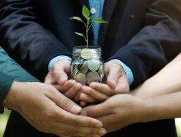 Madhya Pradesh Leads in Centre’s Green Credit Programme Efforts