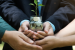 Madhya Pradesh Leads in Centre’s Green Credit Programme Efforts