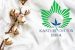 Government to Establish Cotton Test Labs in 6 States for Kasturi Cotton