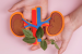 Centre Orders Probe into Surge of Foreigners Receiving Organ Transplants