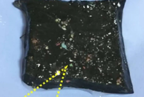 IISc Scientists Develop Sustainable Hydrogel to Remove Microplastics from Water