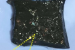 IISc Scientists Develop Sustainable Hydrogel to Remove Microplastics from Water