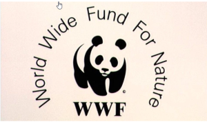 World Wide Fund for Nature