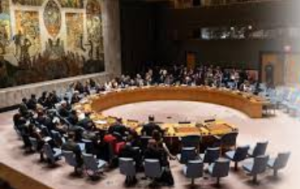 United Nations Security Council (UNSC)