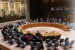 United Nations Security Council (UNSC)