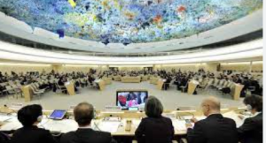 United Nations Human Rights Council