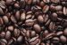 Coffee’s Prehistoric Origins Revealed Through Genome Sequencing