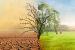 Climate Change to Cost Global Economy in Trillions: Study