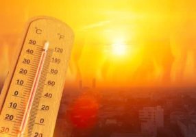 Intense Heat Wave Grips India
