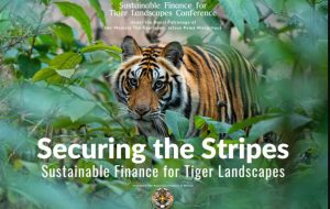 Tiger Conservation Conference 2024