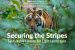 Tiger Conservation Conference 2024