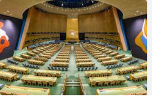 United Nations General Assembly (UNGA)