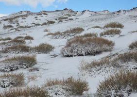 Climate Change Transforms Tundra from Carbon Sink to Source