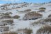 Climate Change Transforms Tundra from Carbon Sink to Source