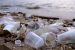 Fourth Session on Global Plastics Treaty Negotiations