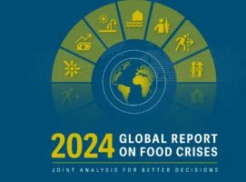 2024 Global Report on Food Crisis (GRFC)