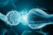 Researchers Create Artificial Synapse Using Water and Salt