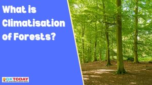 What is Climatisation of Forests?
