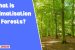 What is Climatisation of Forests?