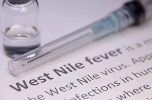 West Nile Virus Triggers High Alert in Kerala