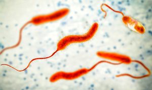 Kenya Faces Cholera Outbreak Amid Heavy Rains and Flooding