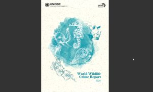 2024 World Wildlife Crime Report